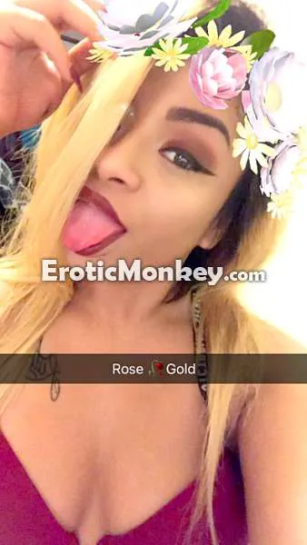 Escorts Houston, Texas Rose