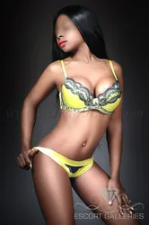 Escorts Doha, Qatar Britishebonycompanion