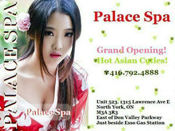 Escorts North York, Ontario Palace #523. 416.792.4888