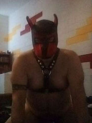 Escorts District of Columbia Pup roleplay Triple Scorpio