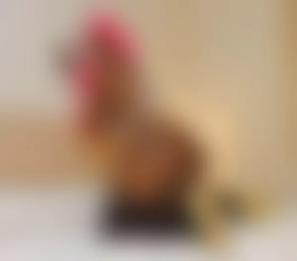 Escorts Leicester, England Choco Latina ☎️🍫 TS All services ☎️