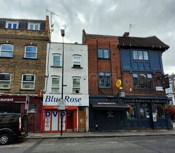 London, England Blue Rose