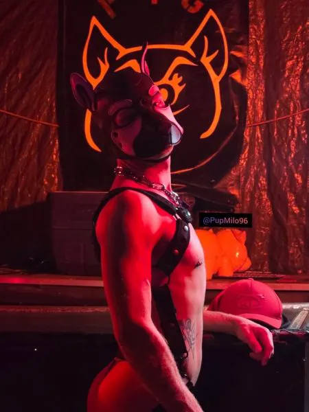 Escorts Morgantown, West Virginia PupMiloAndAXL