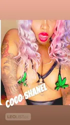 Escorts Hamilton, Ontario Coco Shanel
