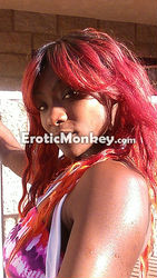 Escorts Brandon, Florida Chocolate China