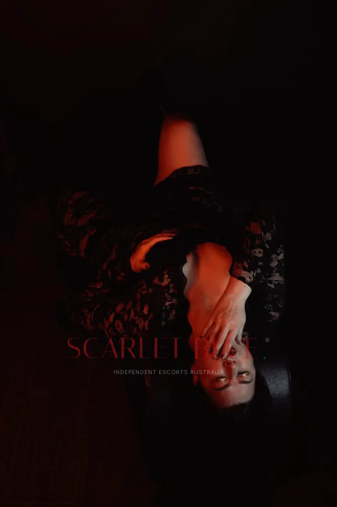 Escorts Melbourne, Australia Sultry Sarah Robbins 


