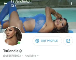 Escorts San Antonio, Texas Ts Sandie
