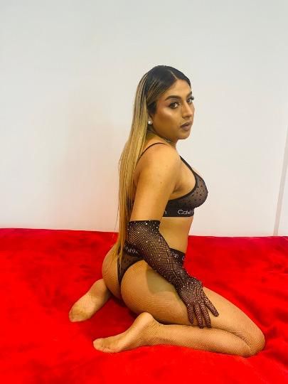 Escorts Queens, New York new trans ariana top and bott