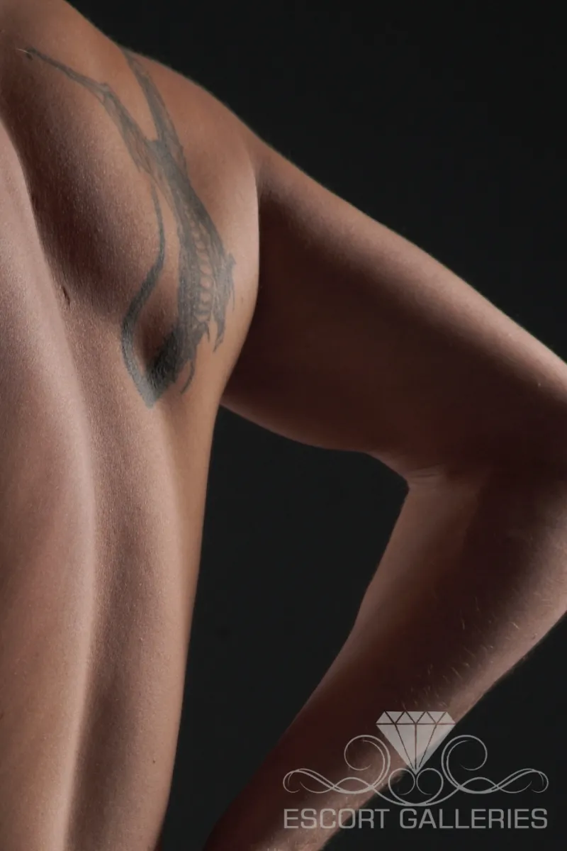 Escorts Heidelberg, Germany Nick Laurent