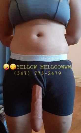 Escorts West Chester, Pennsylvania Yellow Mellow Hear to Entertain all Peggers 👀If you like what yo