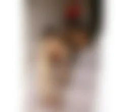 Escorts Birmingham, England TS P4RTY RAFAELLA HOT