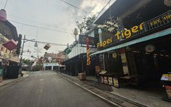 Siem Reap, Cambodia Paper Tiger