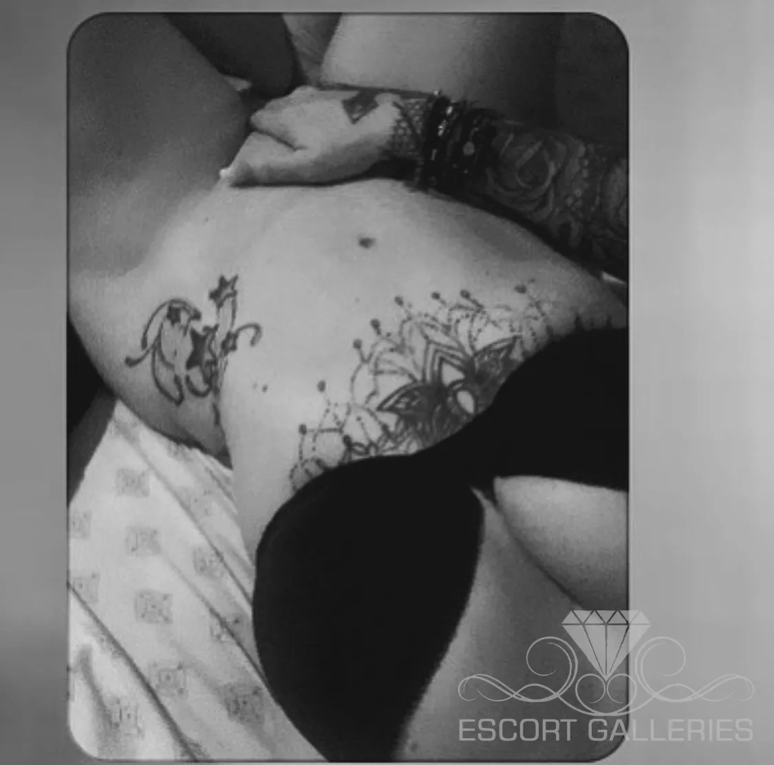 Escorts Denver, Colorado Cesi