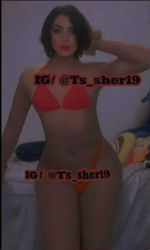 Escorts Queens, New York HOT  TRAVESTY DOLL