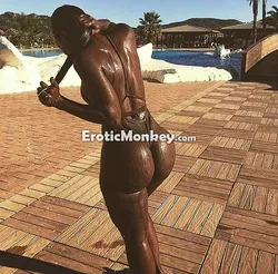 Escorts Seattle, Washington Dream
