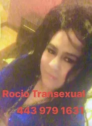 Escorts Carlstadt, New Jersey Visiting Secaucus NJ