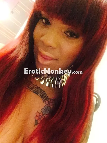 Escorts San Jose, California Vennysia