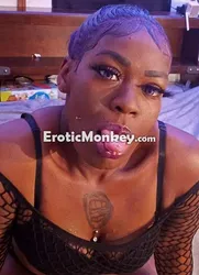 Escorts Fort Worth, Texas Exotic chocolate