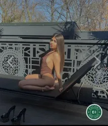 Escorts Portlaoise, Ireland Precious