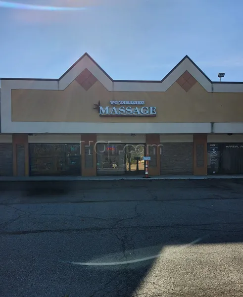 Massage Parlors Farmington, Michigan T's Wellness Massage