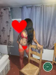 Escorts Newry, Ireland Daniela Sweet