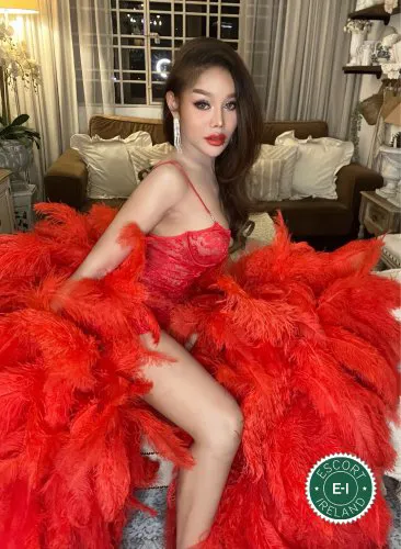 Escorts Limerick, Ireland TV Celina