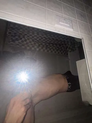 Escorts Buffalo, New York Men and women love me