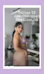 Escorts Brantford, Ontario Celine Erotic Massage Brantford new#