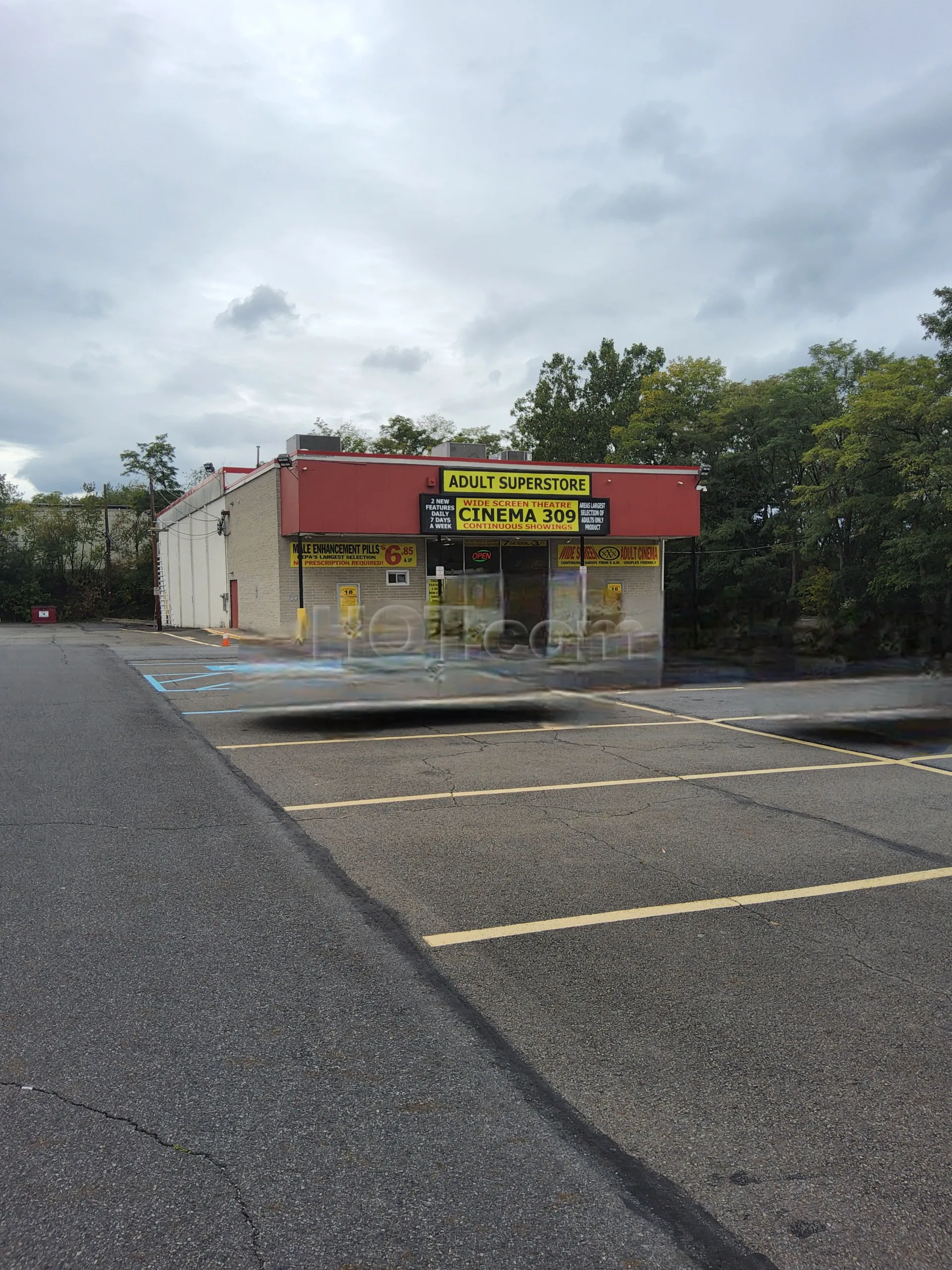 Wilkes-Barre, Pennsylvania Cinema 309 & Adult Superstore