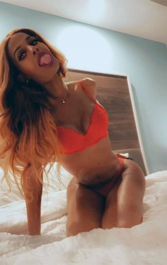 Escorts Louisville, Kentucky FREAKY Verse Ts Sasha visiting ONE NIGHT ONLY😜 Lemme SLUT YOU OUT (I CAN KEEP A SECRET) 🚨 100% Satisfaction Guaranteed😈🍆 💦 NO 🚫 Cheap Men‼ I'm REALLY the girl in the pics😜