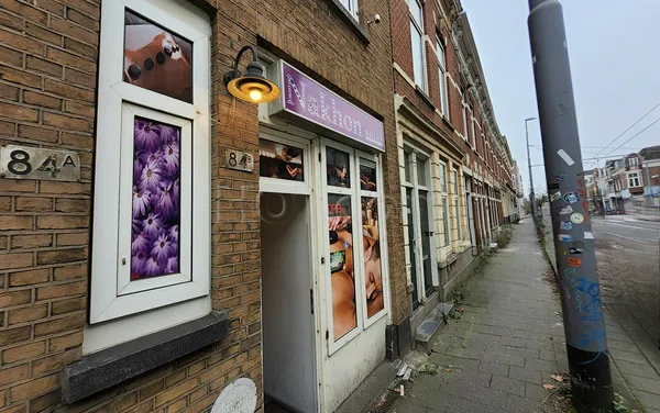 Massage Parlors Rotterdam, Netherlands Nakhon Massage