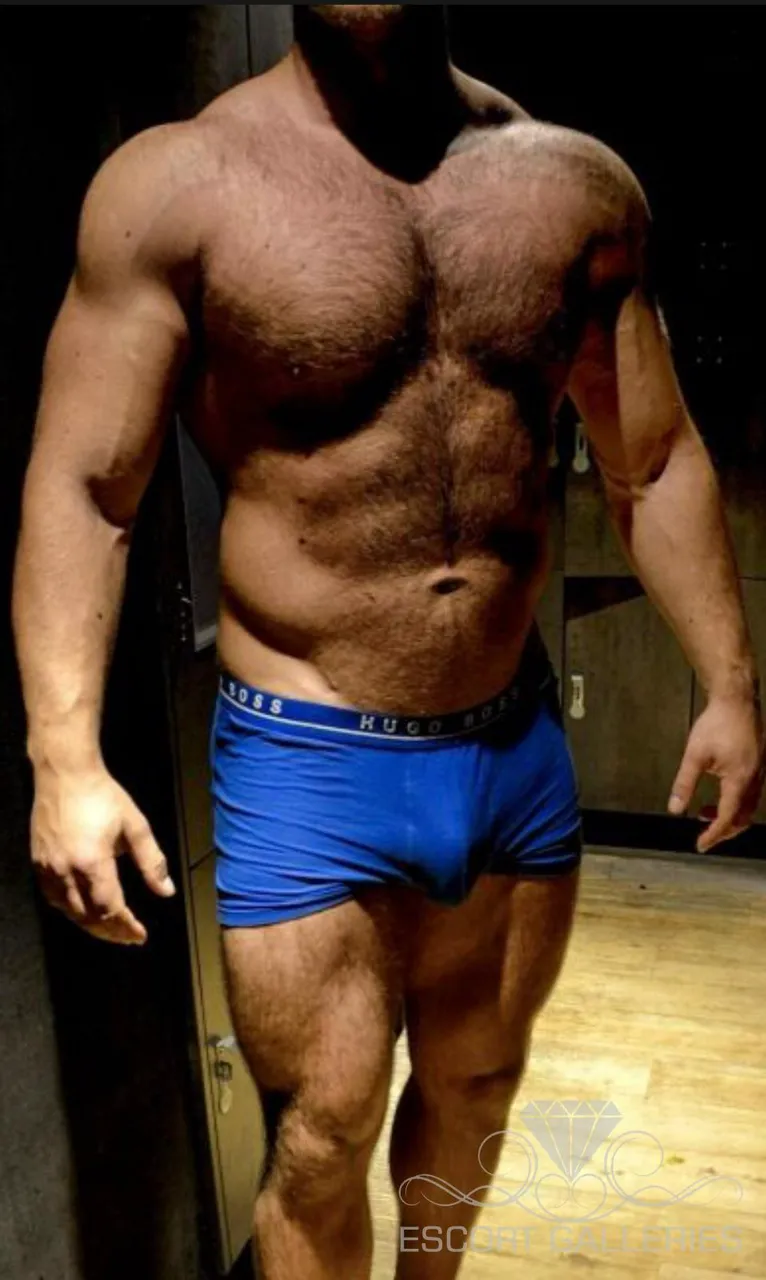 Escorts Berlin, Germany Jihanguir