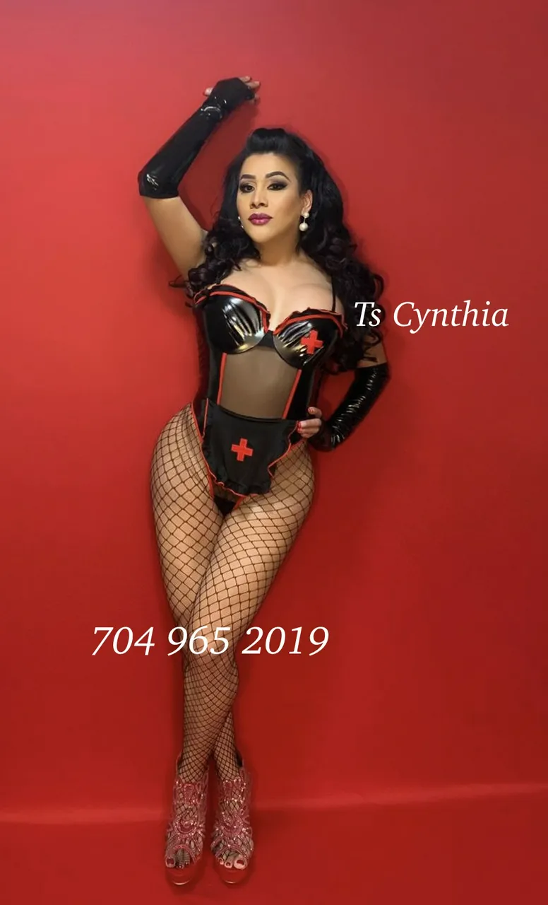 Escorts Greenville, South Carolina Ts Cynthia