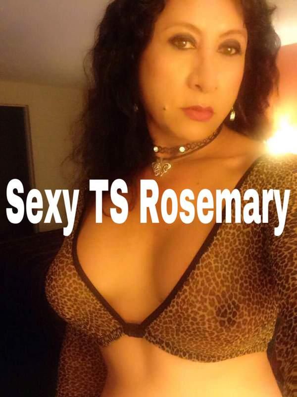 Escorts Nashville, Tennessee Sexy transsexual Rosemary