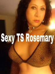 Escorts Chicago, Illinois Sexy transsexual Rosemary