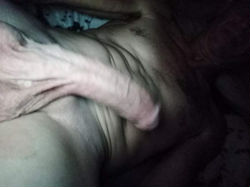 Escorts Jacksonville, Florida Looking to get my cock sucked and maybe eat pussy
