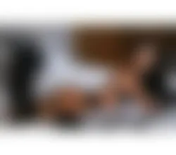 Escorts Sunderland, England Best Owo No Rush Just Call Me Lovely LadyB