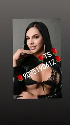 Escorts Denver, Colorado ⭐️ ⭐️🌹PIA🌹⭐️⭐️