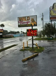 Silver Springs Shores, Florida Wild Things Lingerie and Adult Novelty Store