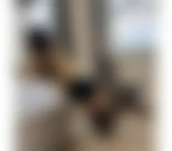 Escorts Hemel Hempstead, England Maria Fernanda 🥳🇧🇷