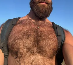 Escorts New York City, New York Hairyland